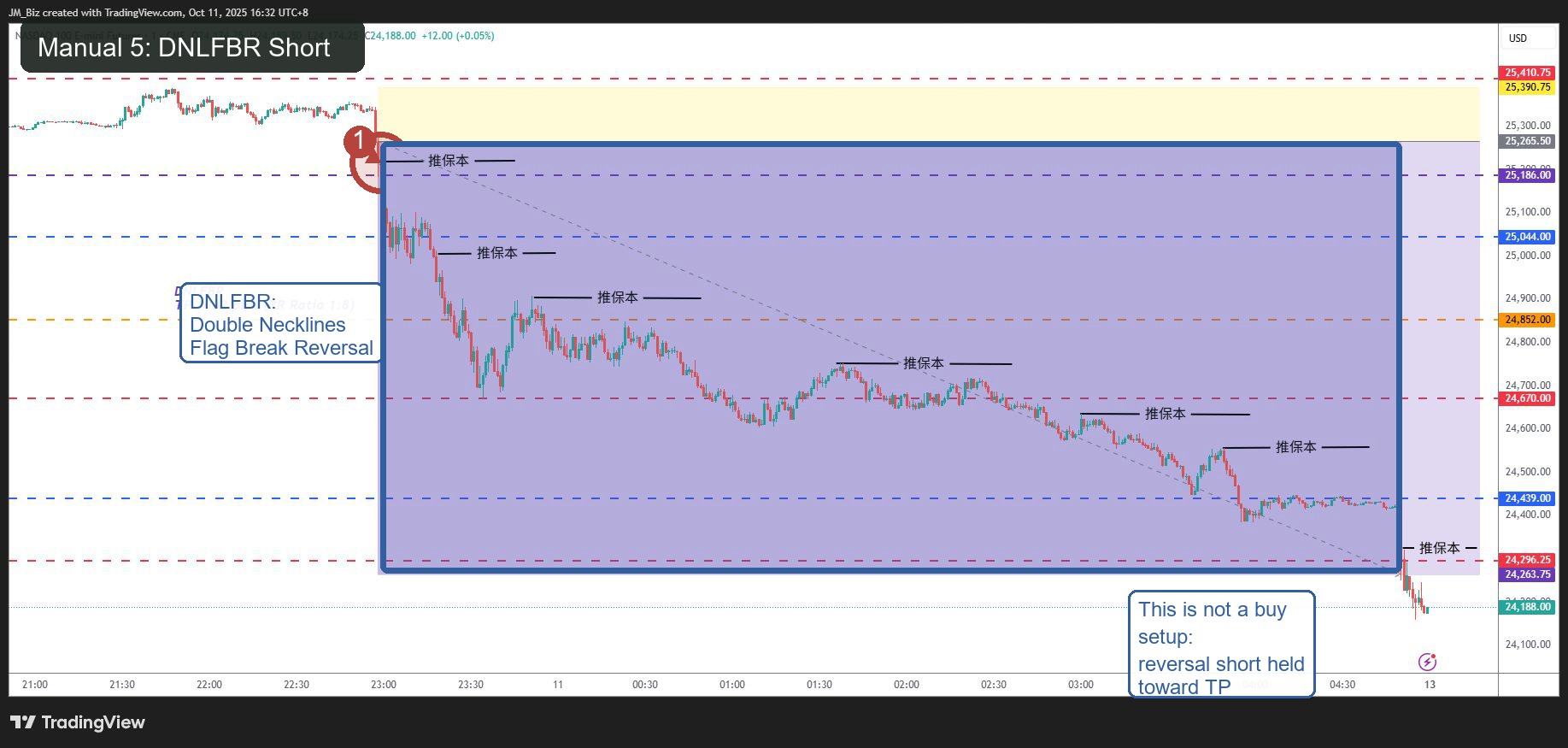 JM DNLFBR annotated short example